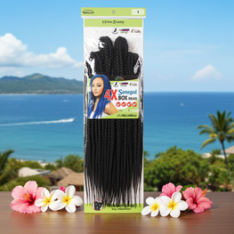 4X Senegal Box Braid Multi Pack-1